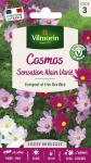 Fleurs - Cosmos Sensation Nain Varié - PACKAGING_RECTO